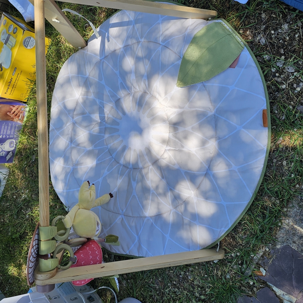 Baby Play Gym with Soft Mat and Toys